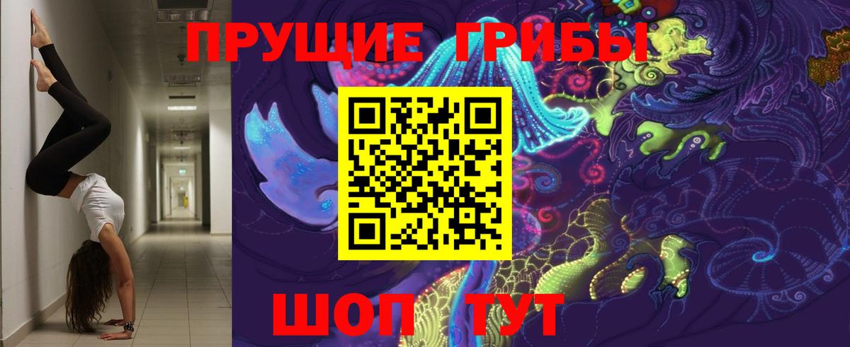 Сунжа  Псилоцибиновые грибы ЛСД  Псилоцибиновые грибы мицелий  Вход с VPN 