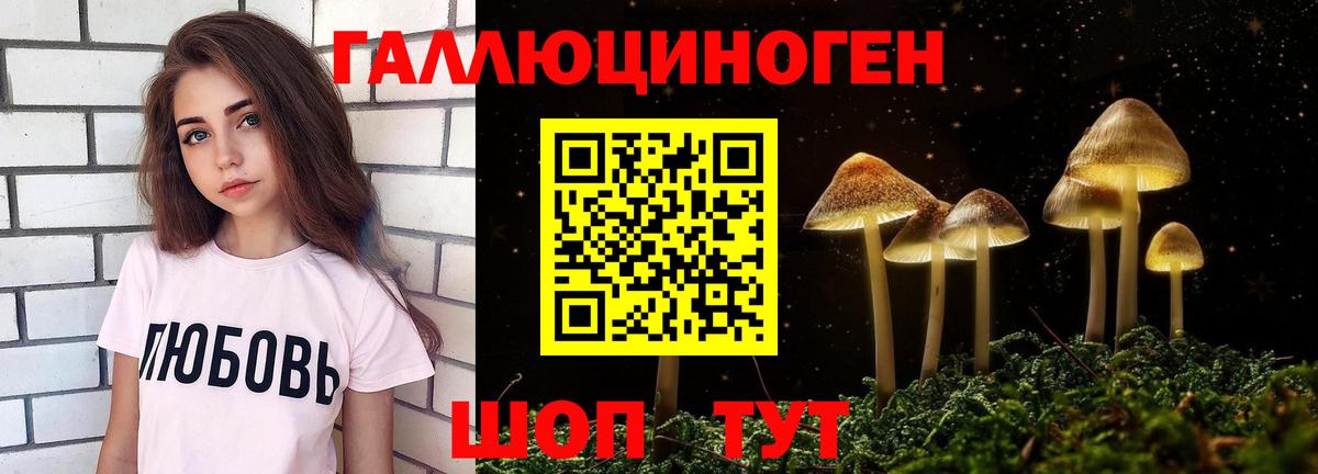 Псилоцибиновые грибы Magic Shrooms Сунжа